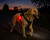 2645a043-0d75-48cc-9d15-7a15a63810cc.png